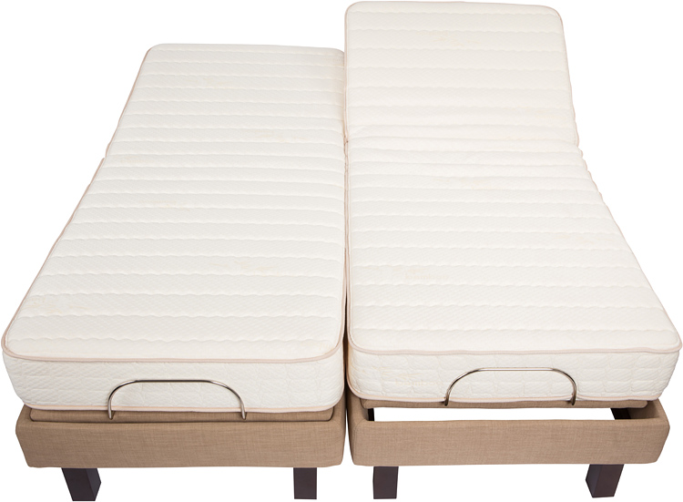 Surprise Organic Mattress